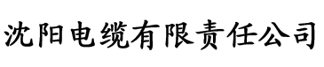 云合数据电视剧播放量电缆厂logo